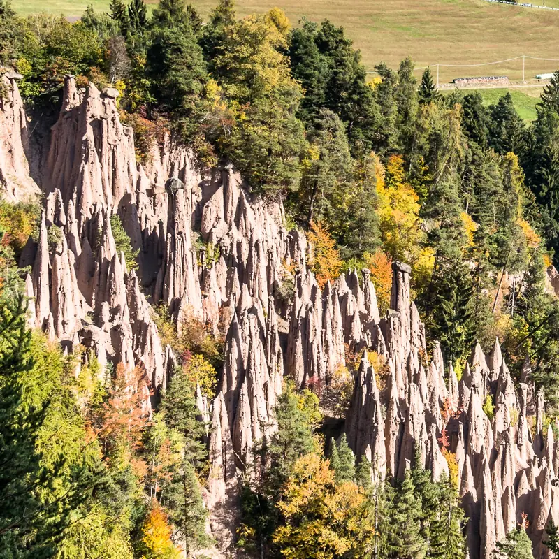 Die Rittner Erdpyramiden im Herbst