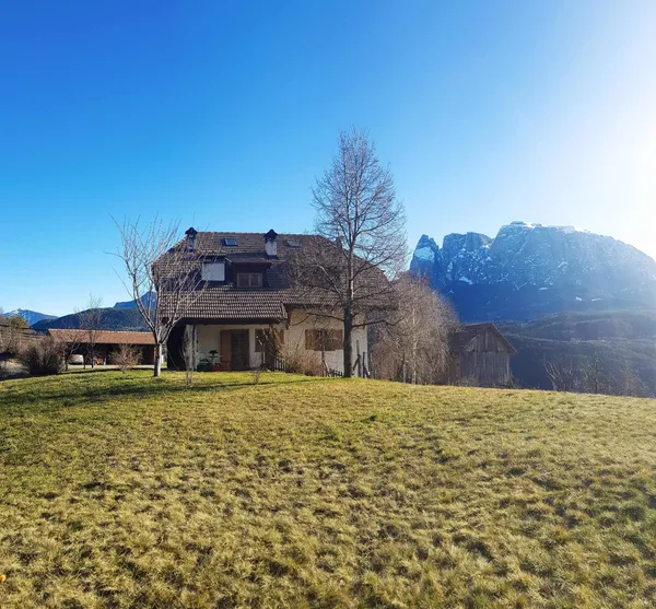 Januar, ohne Schnee 3