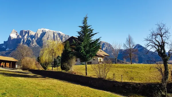 Januar, ohne Schnee 2