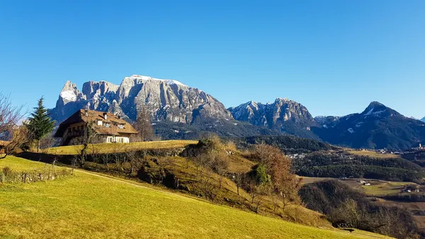 Januar, ohne Schnee 1