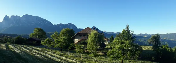 Sommer - vormittags