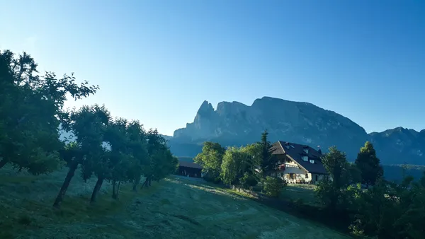 Sommer - morgens